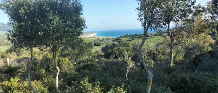 El Cabrero de Bolonia, Quesos y Yogures de Leche Ecologica de Cabra Payoya, Queseria Ecologica y Artesana, Experiencia Rural, Rutas de Pastoreo con Cabras Payoyas, Parque Natural del Estrecho, Bolonia, Cadiz
