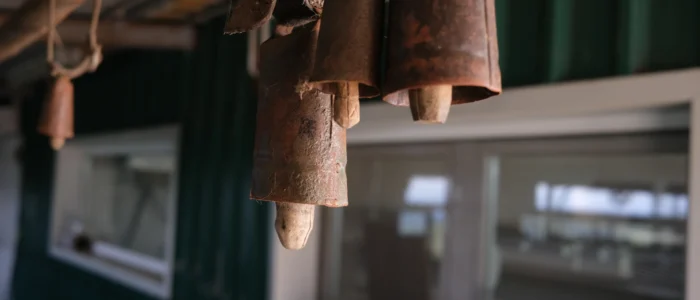 El Cabrero de Bolonia, Quesos y Yogures de Leche Ecologica de Cabra Payoya, Queseria Ecologica y Artesana, Experiencia Rural, Visita a la Queseria, Sala de Ordeño, Bolonia, Cadiz