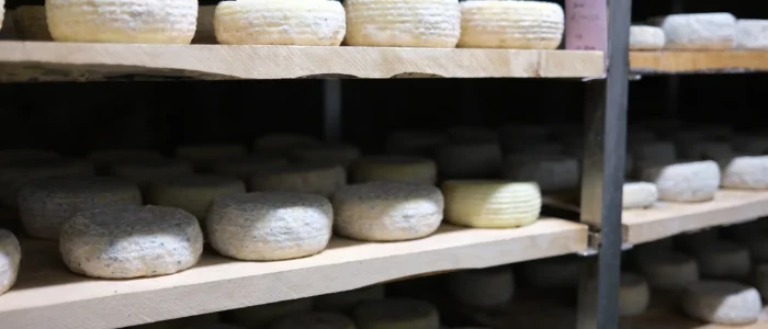 El Cabrero de Bolonia, Quesos y Yogures de Leche Ecologica de Cabra Payoya, Queseria Ecologica y Artesana, Experiencia rural, Visita a la Queseria, Bodega de Quesos de Cabra Payoya, Bolonia, Cadiz